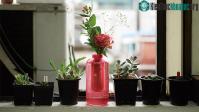 Ảnh Bình hoa có thể chữa cháy được trong tích tắc
