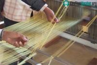 Ảnh Vi khuẩn biến đổi gene có thể tạo ra loại tơ nhện siêu bền cho việc chế tạo ra trang phục không gian