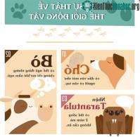 Ảnh Những sự thật khiến cho bạn phải đau khổ vì chẳng biết gì về thế giới động vật