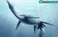 Ảnh Phát hiện hóa thạch khủng long khổng lồ dưới biển giống quái vật hồ Loch Ness