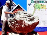 Ảnh Lý Sơn lần đầu tiên trưng bày san hô hóa thạch hình hoa hồng 6.000 năm