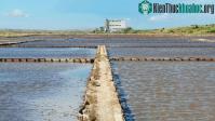 Ảnh Những công nghệ chống hạn hán hiệu quả trong nông nghiệp đáng học hỏi