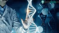 Ảnh Công bố quốc tế về giải trình tự gene người Việt