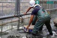 Ảnh Công nghệ Nhật giúp nước sông Tô Lịch trong vắt, nhìn rõ đáy bùn đang phân hủy