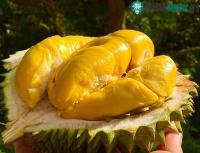 Ảnh Hai loại củ quả bạn không nên dùng khi uống rượu