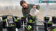 Ảnh Giới thiệu công nghệ men vi sinh giữ CO2 cho đất