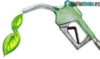 Ảnh Nhiêu liệu sinh học low-carbon: Nhiều thân thiện với môi trường