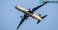 Ảnh Airbus tiến hành thử nghiệm máy bay có thể đập cánh như chim hải âu