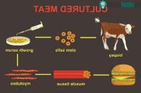Ảnh Tìm hiểu về món thịt chay