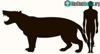 Ảnh Loài thú ăn thịt lớn nhất trên cạn, được mệnh danh là máy xay thịt di động