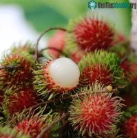 Ảnh 5 nhóm người tốt nhất không nên ăn chôm chôm kẻo sinh bệnh, rước họa vào thân