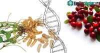 Ảnh Vác loài thực vật biến đổi gene tự nhiên nhiều hơn so với dự tính