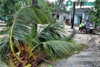 Ảnh Phú Yên, Bình Định ngổn ngang sau khi bão Matmo đổ bộ
