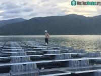 Ảnh Dự án điện mặt trời Đa Mi đã sử dụng phao nổi "Made in Vietnam"