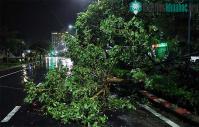 Ảnh Bão Nakri suy yếu thành áp thấp nhiệt đới gây mưa lớn, nhiều nơi mất điện