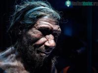 Ảnh Căn bệnh phổ biến ở trẻ em hiện nay có thể là nguyên nhân khiến người Neanderthal tuyệt chủng