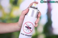 Ảnh Phun thuốc xịt muỗi xong phải chờ bao lâu mới được vào nhà?