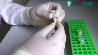 Ảnh Nghiên cứu về hệ gene người Việt đã tìm ra nhiều bệnh hiếm gặp