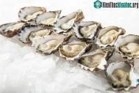 Ảnh Vì sao hàu vốn là món ăn rẻ tiền lại trở thành món đắt tiền xa xỉ?