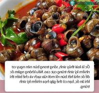 Ảnh Những lưu ý khi ăn ốc để tránh bị ngộ độc, rước họa vào thân