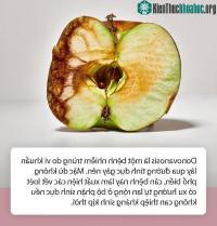 Ảnh Những điều bạn cần biết về căn bệnh lây truyền qua đường tình dục có thể "ăn thịt người"