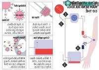 Ảnh Cỗ máy nam châm có thể hút được mọi mầm bệnh ra khỏi cơ thể, từ vi khuẩn, virus cho tới ung thư