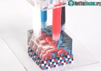 Ảnh Kỹ thuật in 3D đa vật liệu để tạo ra được cả robot kích hoạt sẵn