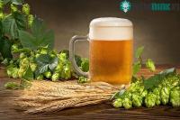 Ảnh Phát hiện thần dược trong bia có thể đẩy lùi cao huyết áp, tiểu đường