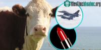 Ảnh Thịt bò mà bạn thấy mỗi ngày chỉ chiếm 60% con bò! 40% còn lại để làm những thứ "siêu dị" này cơ!