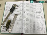 Ảnh Chim ở Bắc Mỹ đang nhỏ dần vì chịu ảnh hưởng của biến đổi khí hậu