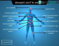 Ảnh Thực phẩm giải độc cơ thể có tác dụng như thế nào?