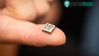 Ảnh Neuron nhân tạo đầu tiên ở trên thế giới được phát triển trên 1 con chip silicon