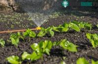 Ảnh Nhật Bản nghiên cứu và chế tạo thành công cảm biến độ ẩm có khả năng phân hủy sinh học