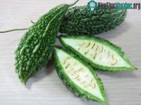 Ảnh Công dụng của nước mướp đắng với sức khỏe