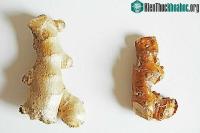 Ảnh Ăn gừng hay riềng tốt cho sức khỏe hơn?
