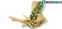 Ảnh Phân lập ra hoạt chất chống ung thư từ rễ cây bá bệnh