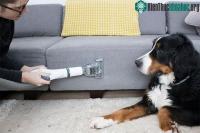 Ảnh Những công dụng tuyệt vời của máy hút bụi ít ai ngờ tới