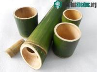 Ảnh Tại sao lại có một số cây lại rỗng thân?