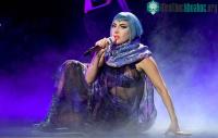 Ảnh Một loài côn trùng mới phát hiện được đặt tên theo ca sĩ Lady Gaga