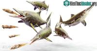 Ảnh Phát hiện chất béo trên hóa thạch của thằn lằn cá từ 180 triệu năm trước