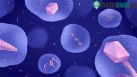 Ảnh Sự tiến hóa của bệnh tật và lịch sử của cuộc chiến chống virus của loài người