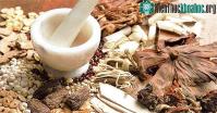 Ảnh Bài thuốc xuân dược cổ xưa: Nam giới cũng chết khiếp