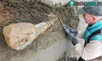 Ảnh Vách đá xói mòn để lộ ra hóa thạch 15 triệu năm tuổi