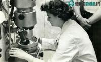 Ảnh Người phụ nữ đã phát hiện virus corona đầu tiên trên cơ thể người vào năm 1964