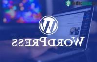 Ảnh Cách tăng tốc độ truy cập WordPress hiệu quả nhất
