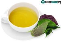 Ảnh 12 tác dụng tuyệt vời của cây tía tô có thể mà bạn chưa biết