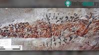 Ảnh Mực tham ăn dẫn tới cái chết khủng khiếp dưới đáy biển cách đây khoảng 200 triệu năm