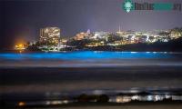 Ảnh Cảnh tượng hiếm thấy gây choáng ngợp tại bờ biển California