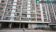 Ảnh Hàng loạt người Hong Kong bị nhiễm virus viêm gan một cách bí ẩn từ chuột