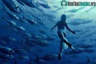 Ảnh Loạt những ảnh thật đánh lừa thị giác luôn bị nghi là “đồ giả”